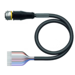 Actuator and Sensor Cable, PVC RKS12T-10/TEL