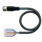Actuator and Sensor Cable, PUR RKS12.120T-2/TXL